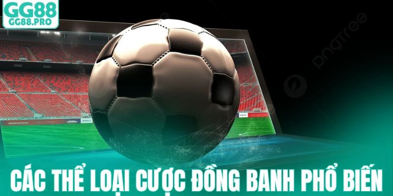Các thể loại cược đồng banh phổ biến