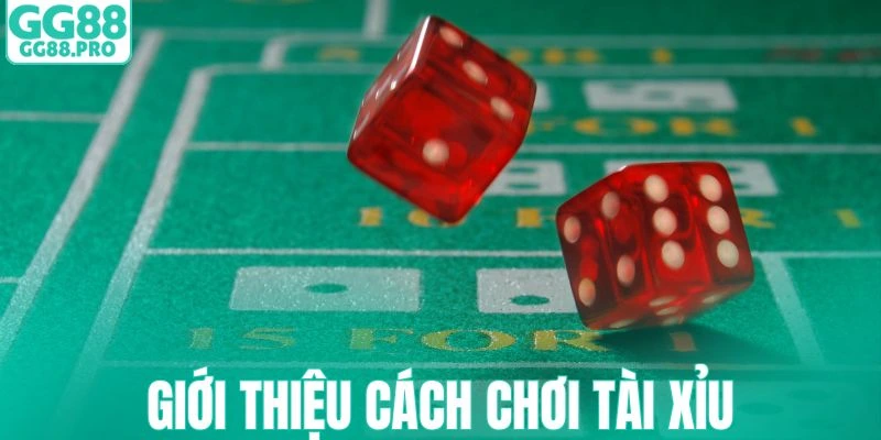 Cách chơi tài xỉu đơn giản để mọi người tham gia