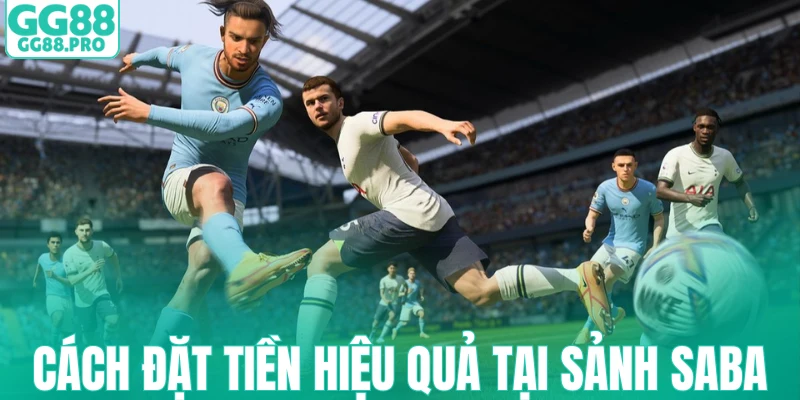 Cách đặt tiền hiệu quả tại sảnh Saba