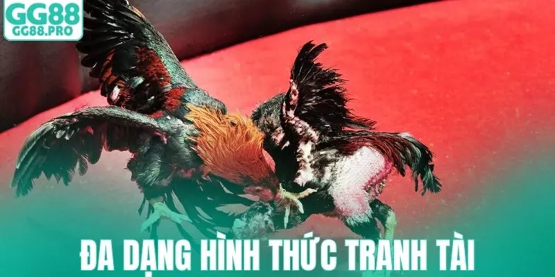 Đa dạng hình thức tranh tài kịch tính, hấp dẫn