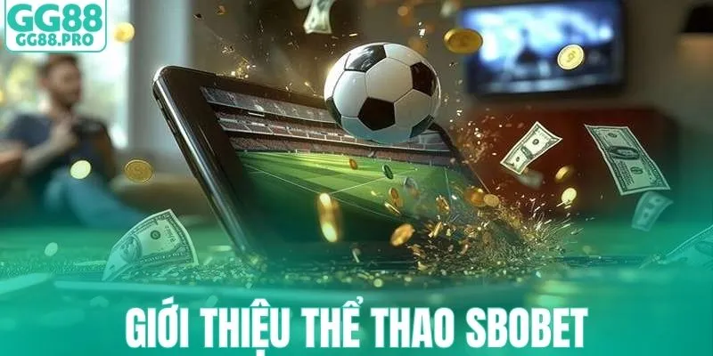 Giới thiệu sảnh SBOBET thể thao cơ bản