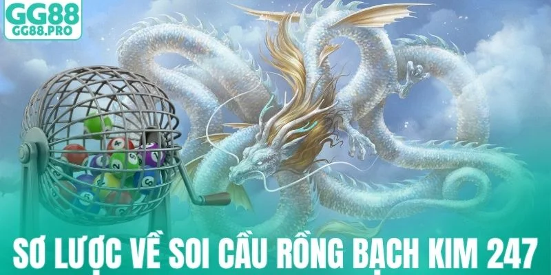 Khái niệm cơ bản của phương thức soi cầu Rồng Bạch Kim 247