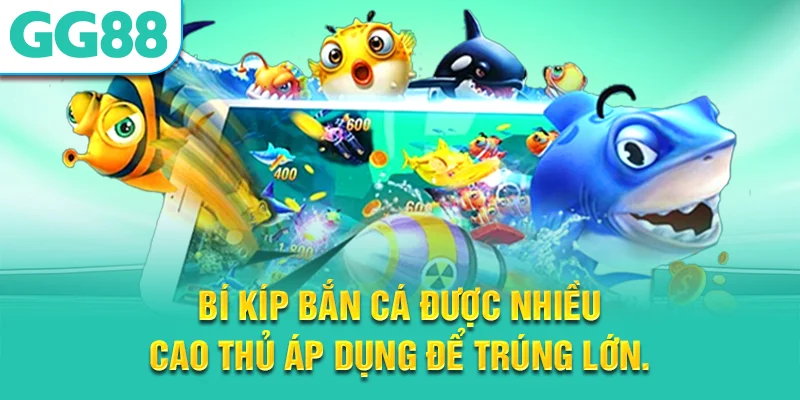 bí kíp bắn cá được nhiều cao thu ap dung
